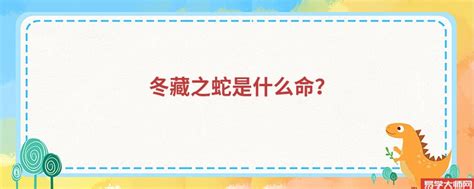 冬藏之蛇|辛巳年出生的蛇：命中贵人扶助，运势随机应变